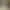image_0